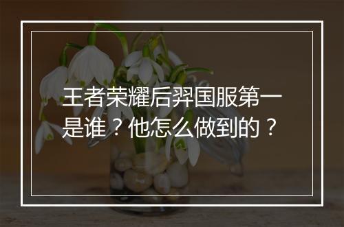 王者荣耀后羿国服第一是谁？他怎么做到的？