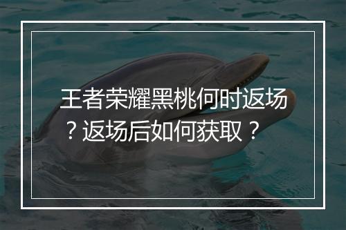 王者荣耀黑桃何时返场？返场后如何获取？