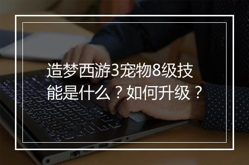 造梦西游3宠物8级技能是什么？如何升级？