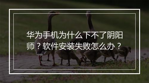 华为手机为什么下不了阴阳师？软件安装失败怎么办？