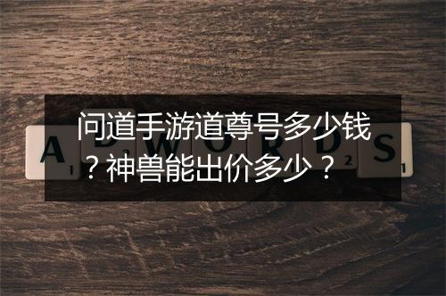 问道手游道尊号多少钱？神兽能出价多少？