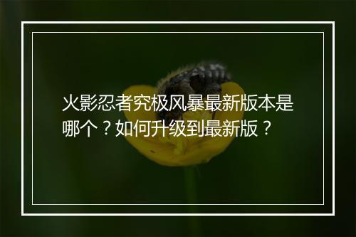 火影忍者究极风暴最新版本是哪个？如何升级到最新版？