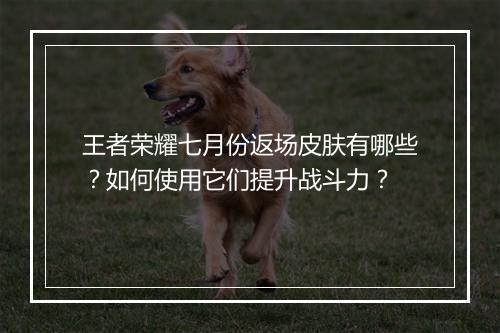 王者荣耀七月份返场皮肤有哪些？如何使用它们提升战斗力？