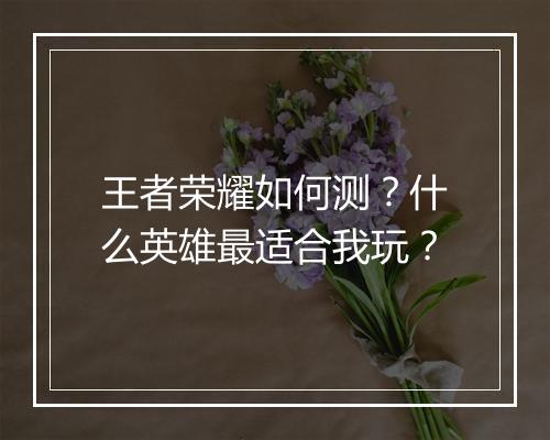 王者荣耀如何测？什么英雄最适合我玩？