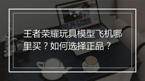 王者荣耀玩具模型飞机哪里买？如何选择正品？