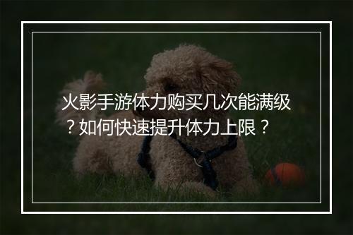 火影手游体力购买几次能满级？如何快速提升体力上限？