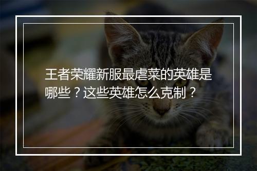 王者荣耀新服最虐菜的英雄是哪些？这些英雄怎么克制？