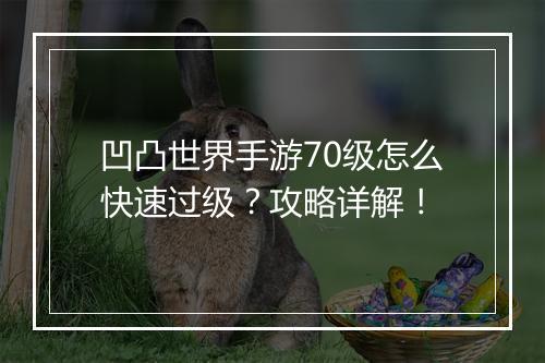 凹凸世界手游70级怎么快速过级？攻略详解！