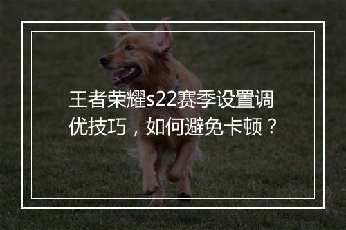 王者荣耀s22赛季设置调优技巧，如何避免卡顿？