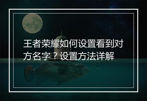 王者荣耀如何设置看到对方名字？设置方法详解