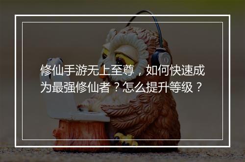 修仙手游无上至尊，如何快速成为最强修仙者？怎么提升等级？