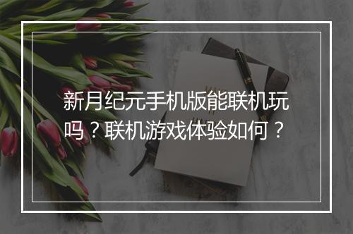 新月纪元手机版能联机玩吗？联机游戏体验如何？