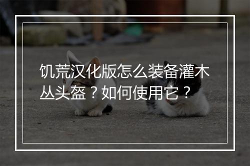 饥荒汉化版怎么装备灌木丛头盔？如何使用它？