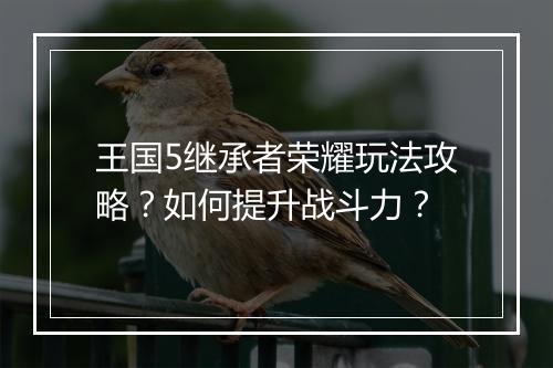 王国5继承者荣耀玩法攻略？如何提升战斗力？
