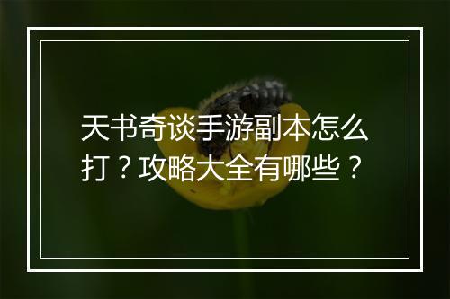 天书奇谈手游副本怎么打？攻略大全有哪些？