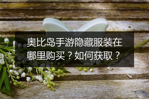奥比岛手游隐藏服装在哪里购买？如何获取？