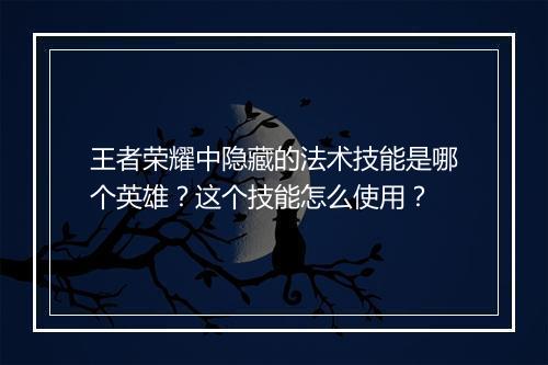 王者荣耀中隐藏的法术技能是哪个英雄？这个技能怎么使用？