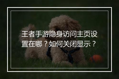 王者手游隐身访问主页设置在哪？如何关闭显示？