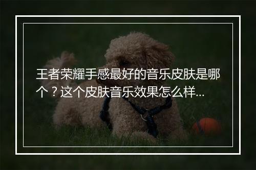 王者荣耀手感最好的音乐皮肤是哪个？这个皮肤音乐效果怎么样？