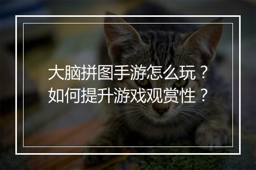 大脑拼图手游怎么玩？如何提升游戏观赏性？