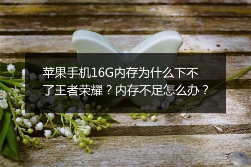 苹果手机16G内存为什么下不了王者荣耀？内存不足怎么办？