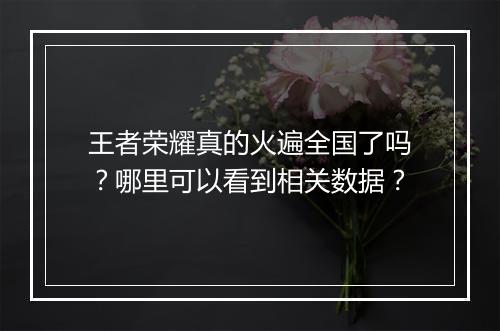 王者荣耀真的火遍全国了吗？哪里可以看到相关数据？