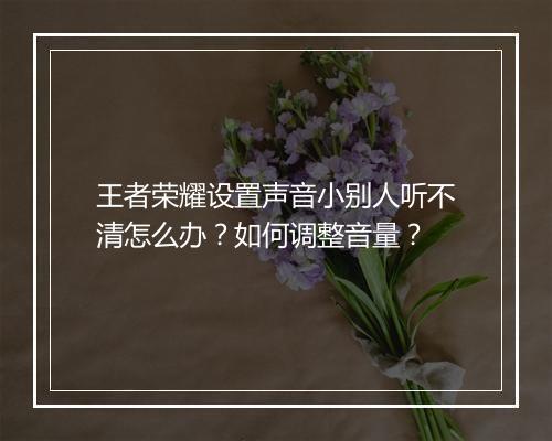 王者荣耀设置声音小别人听不清怎么办？如何调整音量？