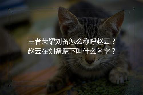 王者荣耀刘备怎么称呼赵云？赵云在刘备麾下叫什么名字？