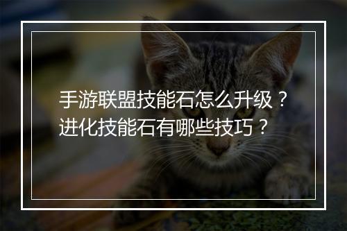 手游联盟技能石怎么升级？进化技能石有哪些技巧？