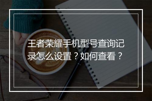 王者荣耀手机型号查询记录怎么设置？如何查看？