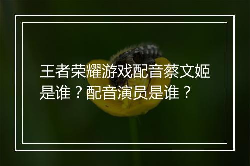 王者荣耀游戏配音蔡文姬是谁？配音演员是谁？