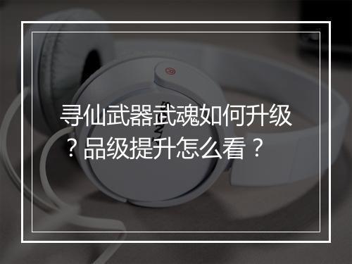 寻仙武器武魂如何升级？品级提升怎么看？
