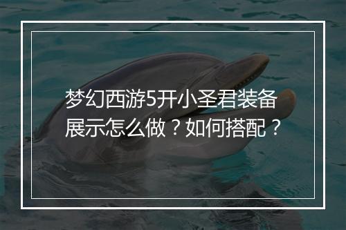 梦幻西游5开小圣君装备展示怎么做？如何搭配？