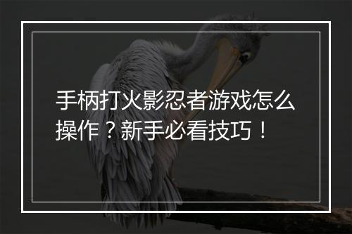 手柄打火影忍者游戏怎么操作？新手必看技巧！
