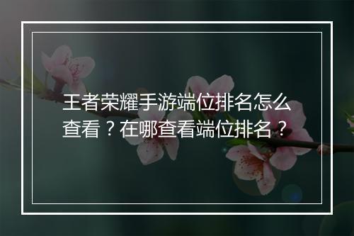 王者荣耀手游端位排名怎么查看？在哪查看端位排名？