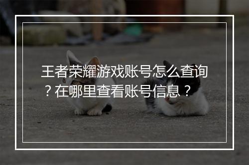 王者荣耀游戏账号怎么查询？在哪里查看账号信息？