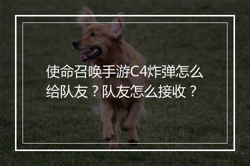 使命召唤手游C4炸弹怎么给队友？队友怎么接收？