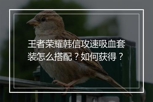 王者荣耀韩信攻速吸血套装怎么搭配？如何获得？