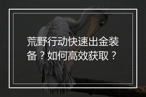 荒野行动快速出金装备？如何高效获取？