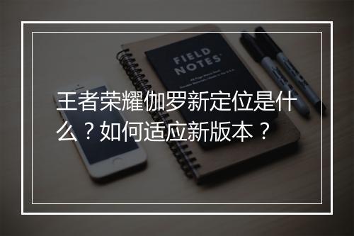 王者荣耀伽罗新定位是什么？如何适应新版本？