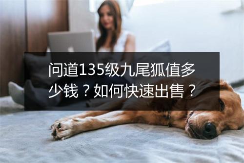 问道135级九尾狐值多少钱？如何快速出售？