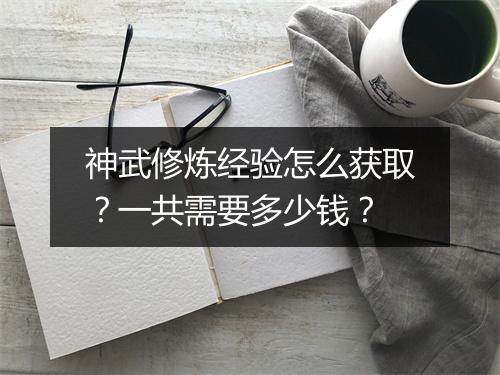 神武修炼经验怎么获取？一共需要多少钱？