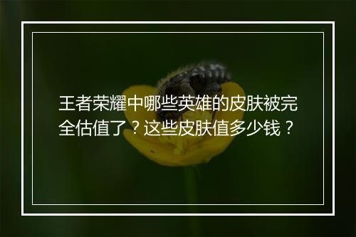 王者荣耀中哪些英雄的皮肤被完全估值了？这些皮肤值多少钱？