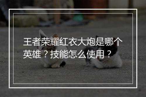 王者荣耀红衣大炮是哪个英雄？技能怎么使用？