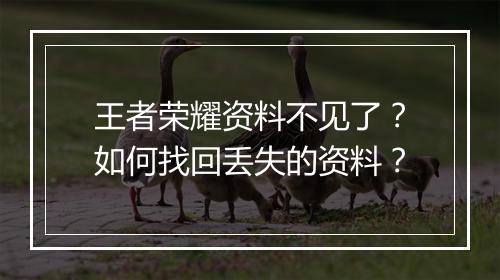 王者荣耀资料不见了？如何找回丢失的资料？