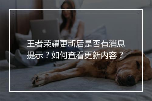 王者荣耀更新后是否有消息提示？如何查看更新内容？