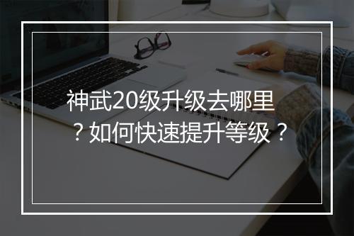 神武20级升级去哪里？如何快速提升等级？