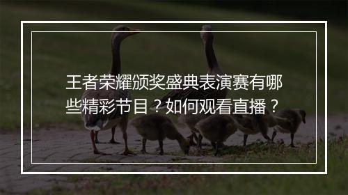 王者荣耀颁奖盛典表演赛有哪些精彩节目？如何观看直播？