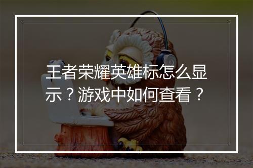 王者荣耀英雄标怎么显示？游戏中如何查看？