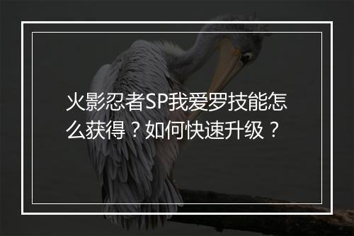 火影忍者SP我爱罗技能怎么获得？如何快速升级？